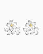 Brincos Trio de Margaridas em Prata 925